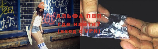 индика Новозыбков