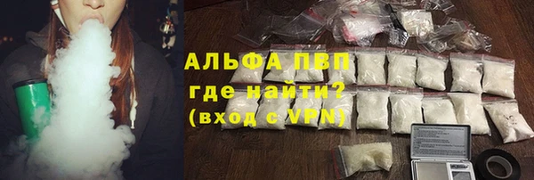 альфа пвп Новодвинск