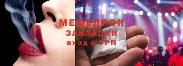 индика Новозыбков