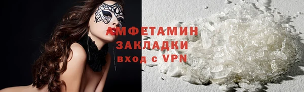 индика Новозыбков