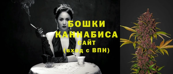альфа пвп Новодвинск