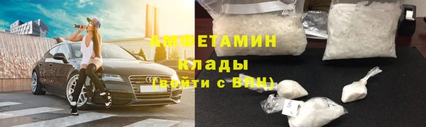 индика Новозыбков