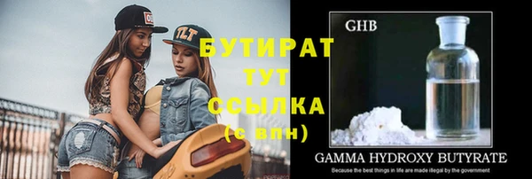 индика Новозыбков