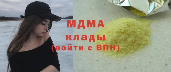 индика Новозыбков