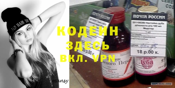 индика Новозыбков