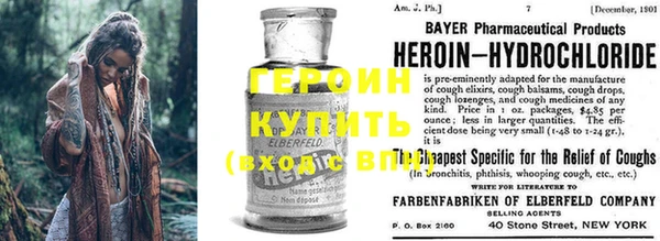 индика Новозыбков
