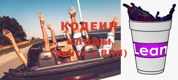 индика Новозыбков