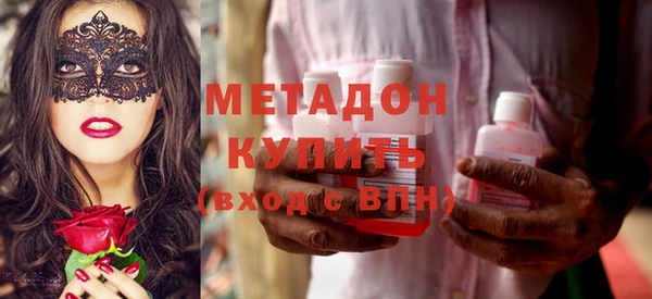 индика Новозыбков