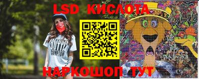 СК Заводоуковск
