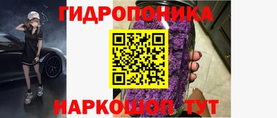 СК Заводоуковск