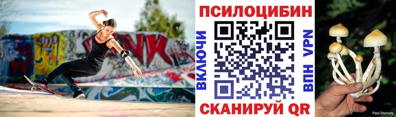 где найти наркотики Новоалтайск Псилоцибиновые грибы ЛСД