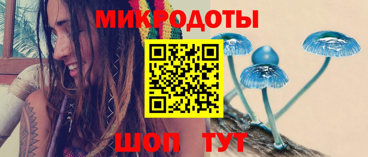 Галлюциногенные грибы MAGIC MUSHROOMS  Новоалтайск  Галлюциногенные грибы Magic Shrooms 