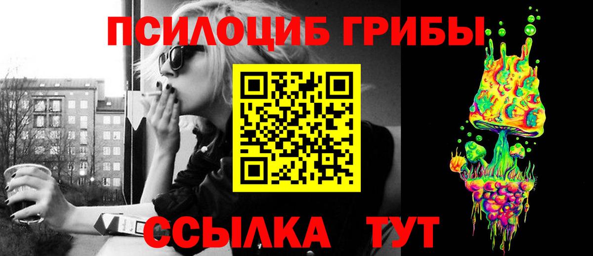 Псилоцибиновые грибы ЛСД Новоалтайск