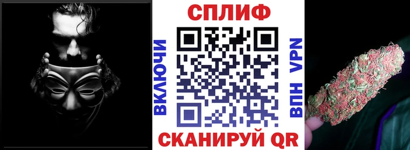 Конопля индика где купить наркоту Новоалтайск